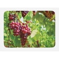 thumbnail image 1 of Grape Bath Mat, Bunch of Concorde Wine Fruits Blurred Backdrop Country Vineyard View, Plush Bathroom Decor Mat with Non Slip Backing, 29.5" X 17.5", Lime Green Dark Coral, by Ambesonne, 1 of 2