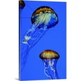 thumbnail image 1 of Great BIG Canvas | "Jellyfish I" Canvas Wall Art - 16x24, 1 of 2