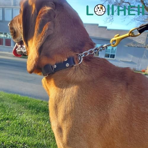Martingale Collar for Dogs No-Pull Adjustable Training Collar with Stainless Steel Chain - Genuine Leather Anti-Slip Design for Small,Medium,Large Breed Dogs - Brown (S)