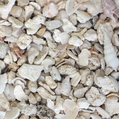 caribsea oolite sand caribsea oolite sand