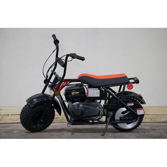 Trailmaster Storm 200 Mini Bike Blast from The Past, Quailty Engine, Welded Frame, Disk Brake (Black)