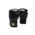 Gold?s Gym 70 Lb. Heavy Bag Boxing Kit with Boxing Gloves