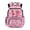 Axolotl Cherry, variant on Kids School Backpacks for Girls 8-10 Cartoon Dragon School Bag Kids 17 Inch Bookbag with Adjustable Strap Large Capacity Schoolbag for Elementary Kindergarten