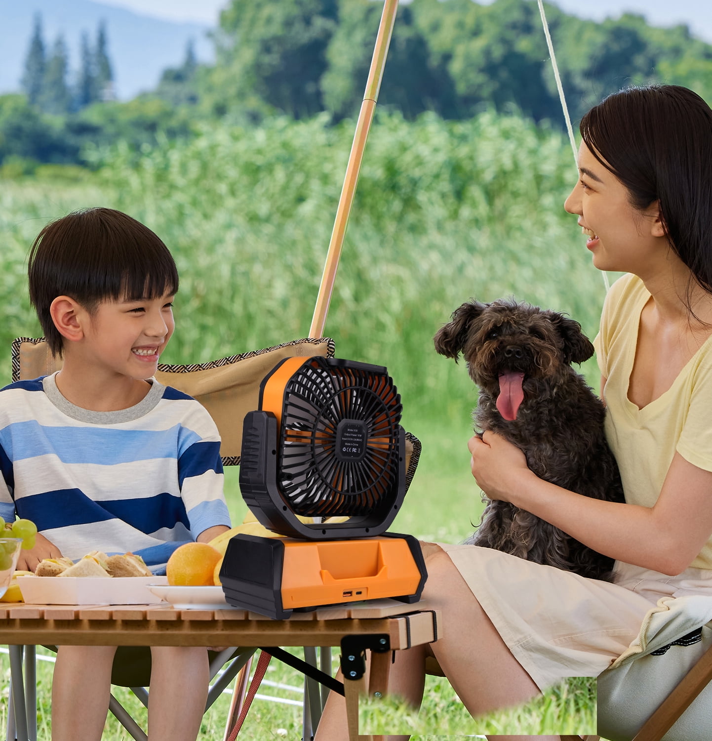 Fylivore Camping Fan, 20000mAh Portable Battery Operated Outdoor with LED Lights & Remote Control, Personal Usb Rechargeable Desk, Room , Orange