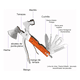 thumbnail image 5 of "Multiherramienta Portatil Martillo Y Hacha 14 En 1 Con Funda Plara, Belug Naranja ", 5 of 5