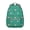 Grey-39, variant on Aesthetic Succulent Students Backpack Boho Cactus and Southwestern Desert Style Retro Minimalist Botanical School Bag for Students