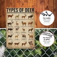 thumbnail image 4 of Rustic Types Of Deer Metal Sign, Vintage Farmhouse Wall Art Tin Sign - Hunting Decor & Educational Poster for Home, Man Cave, and Bar 8x12 Inches, 4 of 5