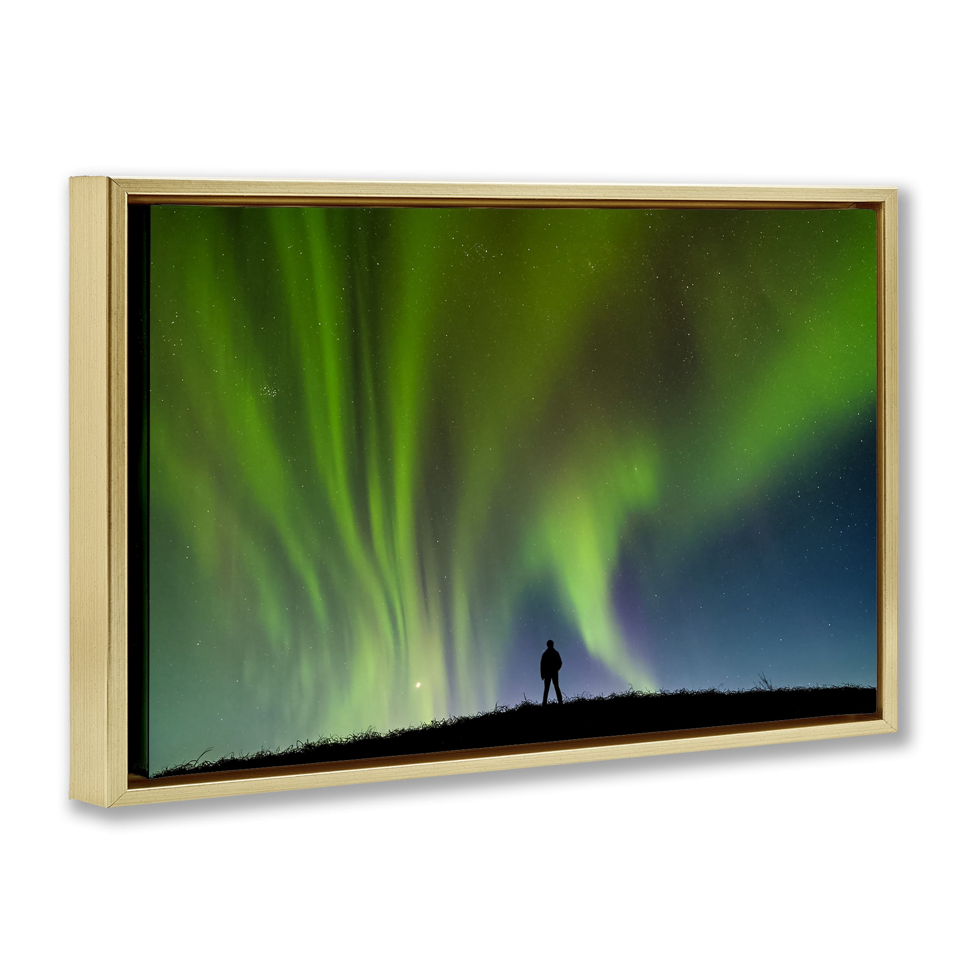 Stupell Industries Envelop Northern Lights Silhouette Gold Framed Floater Canvas Wall Art, design by Shelley Carlisle