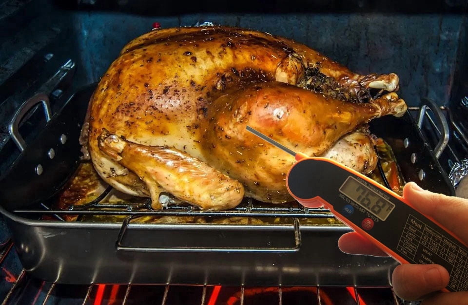LAATIKUI Meat thermometer food grill measurement waterproof probe thermometer
