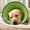 XL, variant on Breathable Mesh Elizabethan Collar for Small Dogs | Soft Padded Recovery Cone for Cats & Puppies, Anti-Lick Chew Scratch Prevention, Adjustable Hook & Loop Closure