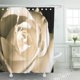 thumbnail image 1 of ABPHQTO Boda Rosa Blanco Nupcial Compromiso Rosas Flor Save The Cortina de ducha 160x180 cm, 1 of 1