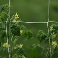 thumbnail image 3 of Nylon Netting Garden Climbing Plant Net Fence Green Support Plant Climbing Net丨C, 3 of 9