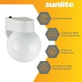 Sunlite Decorative Globe Plugin Outdoor Wall Light Fixture, 13 Max