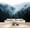 Color 1, variant on Wallpaper Elegant Floral Dark Blue Gold Peonies Leaves Peel and Stick Wall Murals 100"H x 144"W Removable PVC Wall Paper Self-Adhesive Wall Paintings Art Decor for Bedroom Living Room