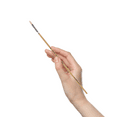 thumbnail image 3 of Pro Art White Bristle Filbert Brush Size 2 for Oil and Acrylic Painting, 3 of 7
