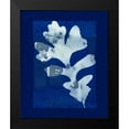 thumbnail image 2 of Zamudio, Dan 15x18 Black Modern Framed Museum Art Print Titled - Cyanotype Oak, 2 of 5