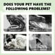 thumbnail image 4 of Spray Oral para Mascotas XWSHYW 100Ml Cuidado Limpieza Bucal, 4 of 6
