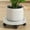 White, variant on Summercome Plant Caddy with Wheels, Round Rolling Plant Stand, 4 Hidden 360 ° Rotating Silent Wheel Wheels, Heavy Duty Plant Dolly for Flower Pots, Movable Plant Tray Indoor & Outdoor Use (White)