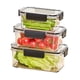 thumbnail image 4 of Caja de Almacenamiento Especial para Frutas y Verduras, Apta para Alimentos, para Refrigerador, Lonchera, Caja Sellada y Calentable, 4 of 5