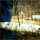 thumbnail image 3 of 65 cm / 25,6 pulgadas de alambre de bolsillo de supervivencia libre de cadena de material acero manual Herramienta de mano para exteriore Zulema Cadena de sierra de alambre de bolsillo, 3 of 8