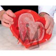 thumbnail image 4 of Silikomart Professional Silicone Bakeware, Heart 206mm Across x 203mm Top to Bottom 50mm High, 4 of 6