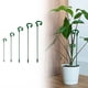 thumbnail image 1 of Mejora estacas de soporte de fibra de vidrio con anillo de soporte para interiores y exteriores, tomates y rosas, 1 of 1