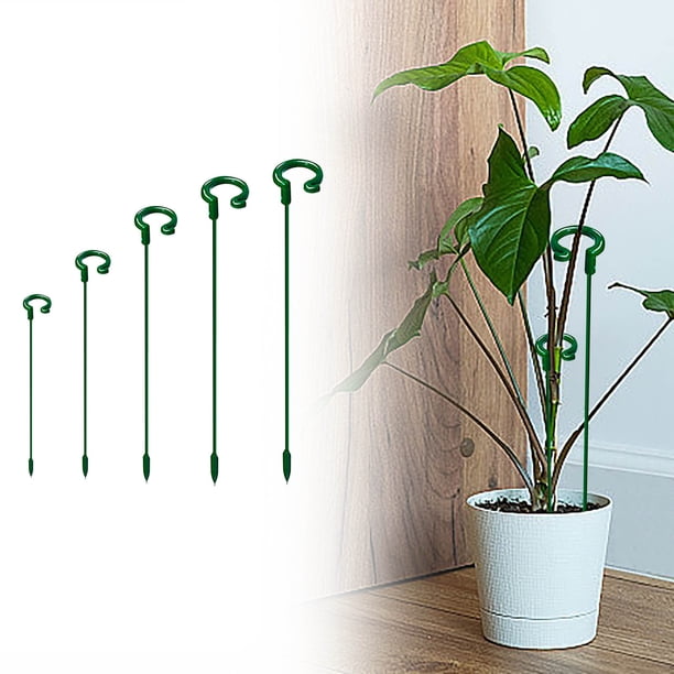 Mejora estacas de soporte de fibra de vidrio con anillo de soporte para interiores y exteriores, tomates y rosas