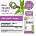 thumbnail image 3 of Solaray Bamboo Stem Extract 600mg | Healthy Hair, Skin, Nails, Bones & Connective Tissue Support | Non-GMO, Vegan & Lab Verified | 60 VegCaps, 3 of 6