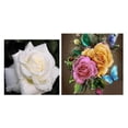 thumbnail image 1 of Cuadros Decorativos 2 piezas 5D DIY diamante pintura rosas punto de cruz bordado mosaico Kit decoración Tmvgtek embutido en tela, 1 of 6