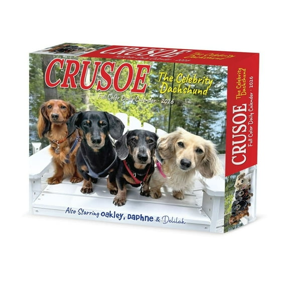 Willow Creek Press, Crusoe the Celebrity Dachshund 2026 Desk Calendar, 6.18'' X 5.43'', Daily Calendar with Adhesive Binding