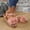 #0171-Pink, variant on Xucatan Women's Floral Appliqué Flat Sandals, Round Toe Open Toe Slides with Elastic Back Strap, Fabric Casual Beach Shoes, Versatile Spring Summer Footwear Gift