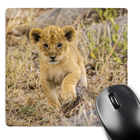 3dRose, Tanzania, Serengeti NP. African lion cub Close up, MousePad