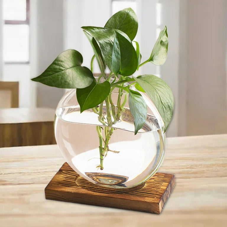 Indoor Plant Vase Decor: Transform Your Space with Style