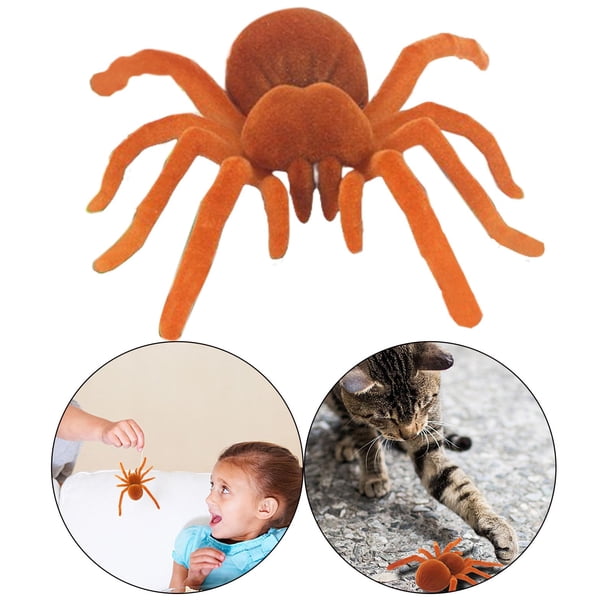 vibrating spider toy spider toy sold on Temu United States main image 1