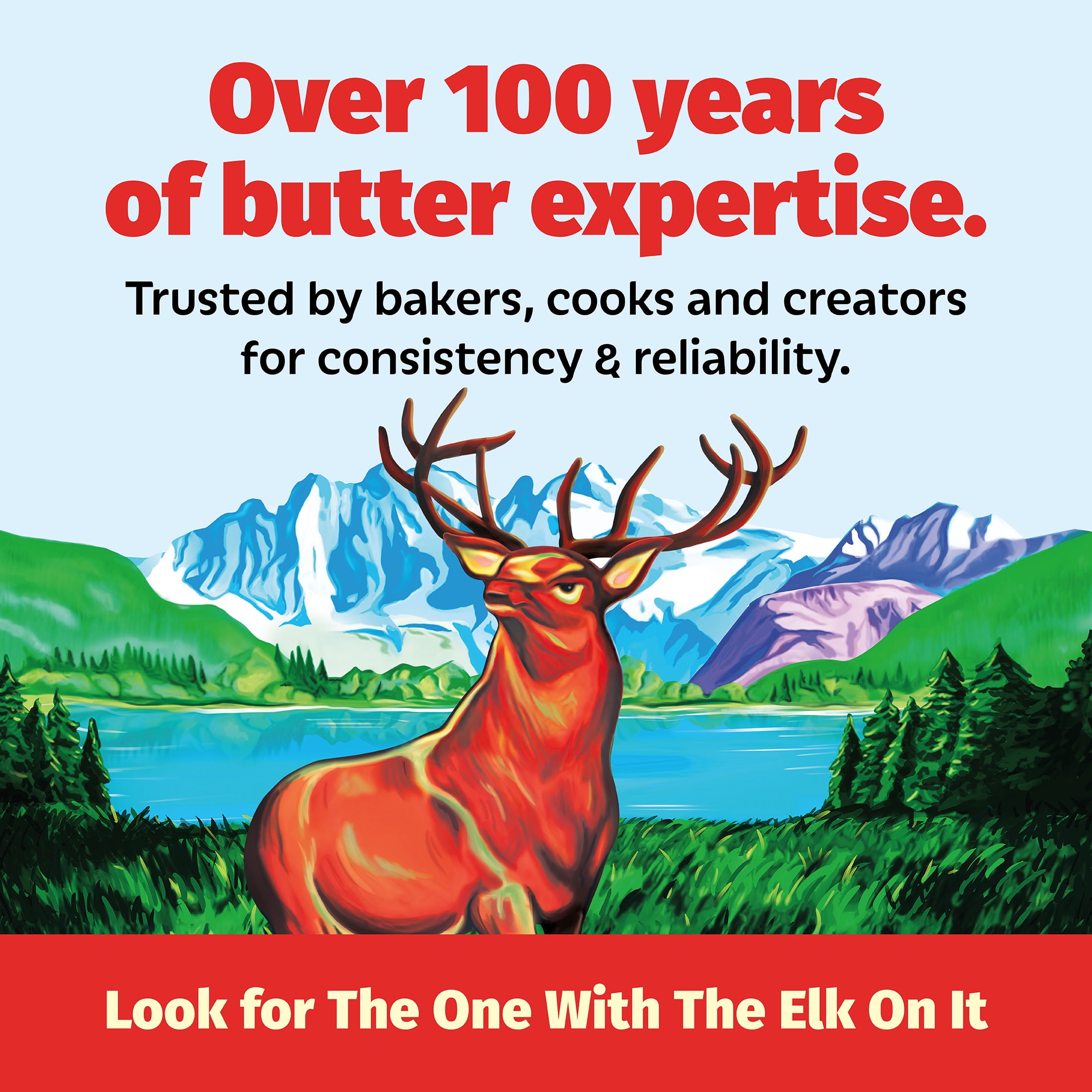 Challenge Butter, Salted Butter, 16 oz, 4 Sticks
