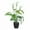 White, variant on Calla Lily in Pot - Artificial Flower for Indoor/Outdoor Decor - Small Potted Flowers for Home, Office & Party Decoration