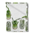 thumbnail image 2 of Vegetable Soft Flannel Fleece Throw Blanket, Graphical Striped Ripe Food Cooking Themed Elements Halved Veggies, Cozy Plush for Indoor and Outdoor Use, 70" x 90", White and Lime Green, by Ambesonne, 2 of 5