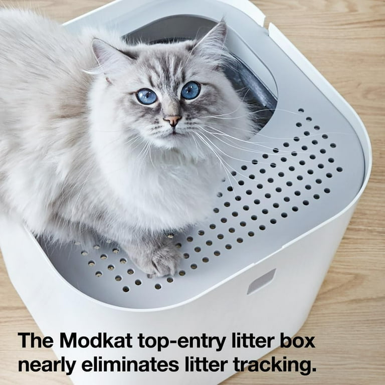 Modkat Top-Entry Litter Box Reduces Litter Tracking, Swivel Lid