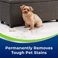 thumbnail image 3 of Eliminador de manchas y olores BISSELL Woolite® Advantage Pet 3327, 3 of 5