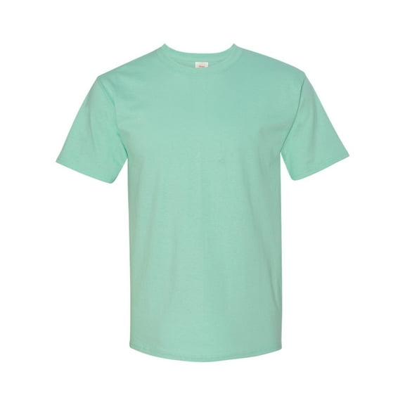 Hanes Men's Tagless Short Sleeve Tee