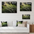 thumbnail image 4 of Designart "A Close Up Photo of Ferns I" Floral Print on Natural Pine Wood, 4 of 5