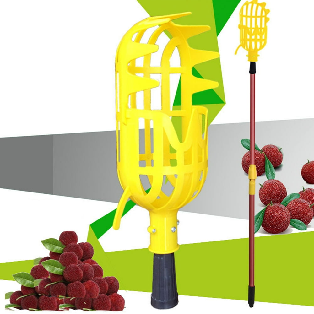Large Size Fruit Picker Catcher Collector for Loquat Waxberry Peach