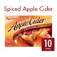Alpine Spiced Cider Original Drink Mix, Apple Flavor, 10 Pouches - image 2 of 8