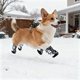 thumbnail image 2 of Zapatos de invierno de forro polar para perros, suela de goma antideslizante, tallas 1-5 para cachorros pequeños y medianos, 2 of 4