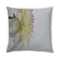 thumbnail image 2 of Ahgly Company Plants Flower Indoor Throw Pillow, 18 inch by 18 inch, 2 of 6