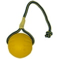 thumbnail image 1 of Pelota grande Starmark Swing 'n Fling DuraFoam de juguete para perros, 1 of 5