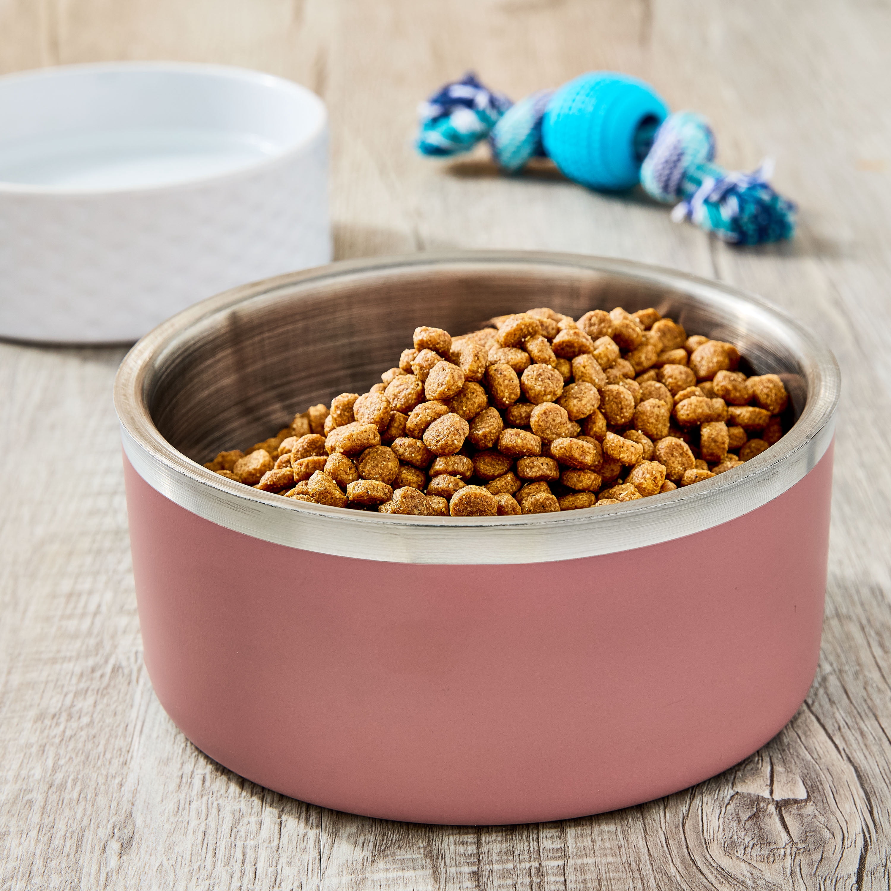 Vibrant Life Medium Stainless Steel Double Wall Dog Bowl, Pink