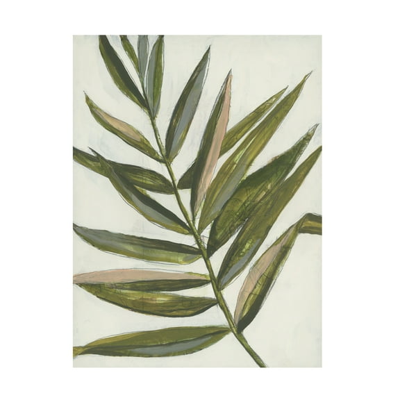 Jennifer Goldberger 'Pastel Frond II' Canvas Art