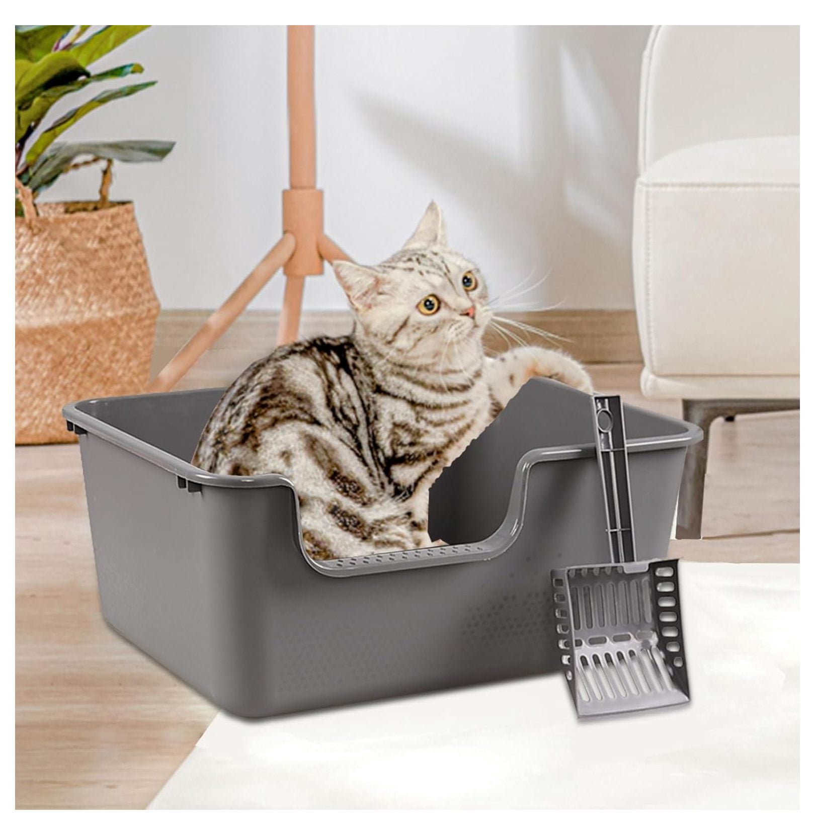 4-Pack Plastic High Side Cat Litter Box, Large Open Litter Box, Gray, 19.69 x 15.24 x 8.46 Inches