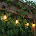 thumbnail image 3 of Brite Star 25 Lt G40 Patio Lights, Frosted Clear, 3 of 6